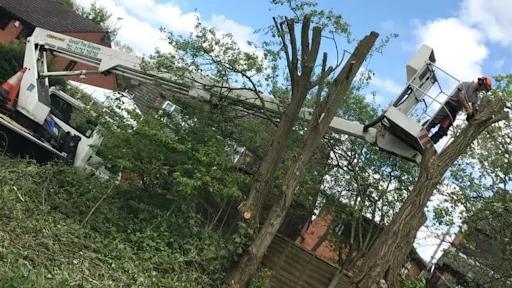 Goodall Tree Services