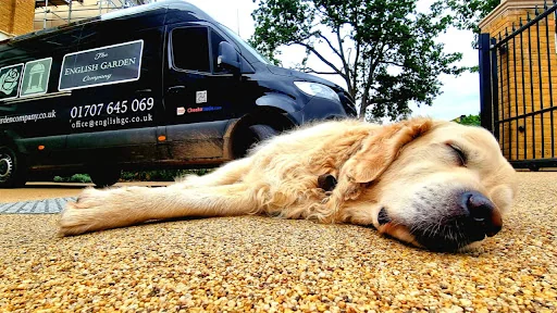 The English Garden Company Ltd