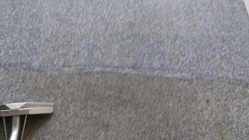 Dolphin Cleaning (Sussex) Ltd