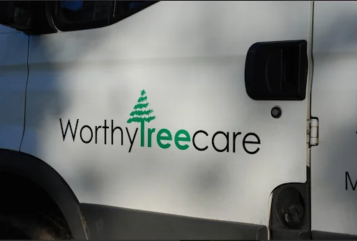 Worthy Treecare