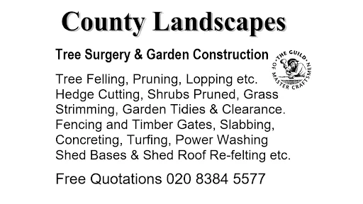 County Landscapes (Hanworth)