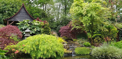 Be Wise Garden Services