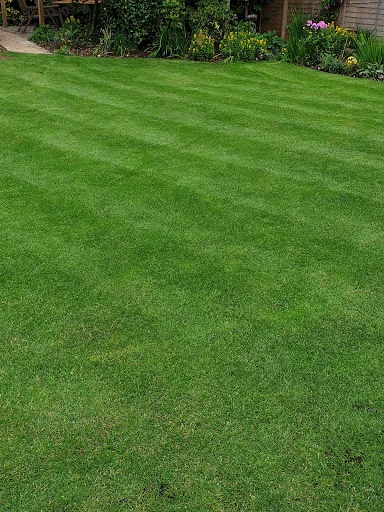 Galahad Garden Services