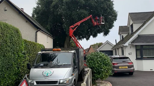 Coppice Tree & Garden Services Limited