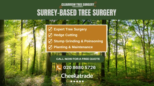Clearview Tree Surgery