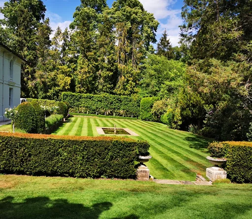 Bontempo Garden Services Ltd