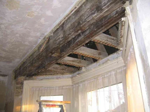 Damp-Busters South East Ltd