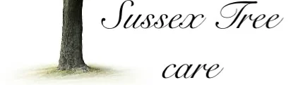 Sussex Tree Care