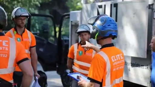 Elite Arborists Ltd