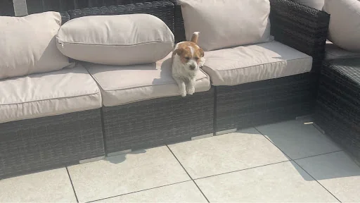 iPave Drives & Patios