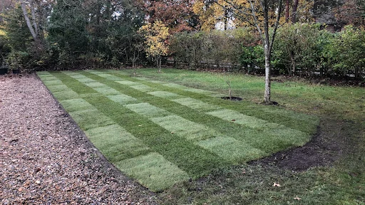 Trim And Tidy Garden Services