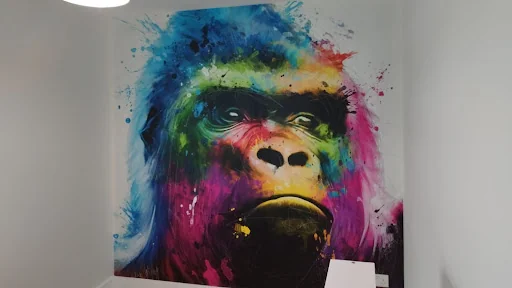 Domestic Decorating and Plastering DDP