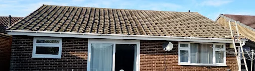 Roof Cleaning & Repairs