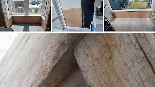 Hampshire Woodworm & Damp