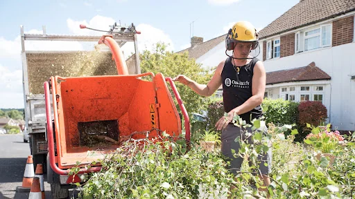 Oaklands Tree Care