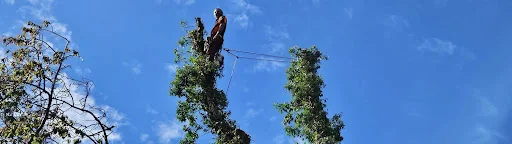 Oaklands Tree Specialists Limited