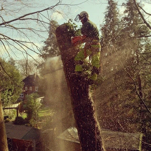 Green Frontiers Garden Care Ltd