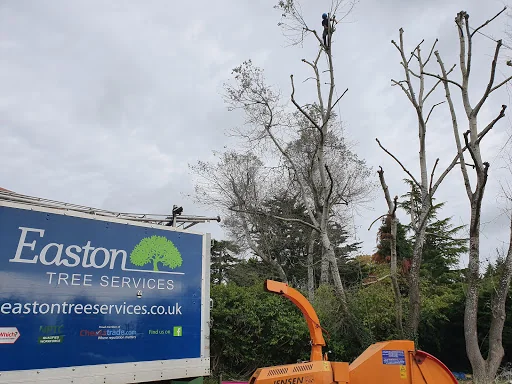 Easton Tree Services