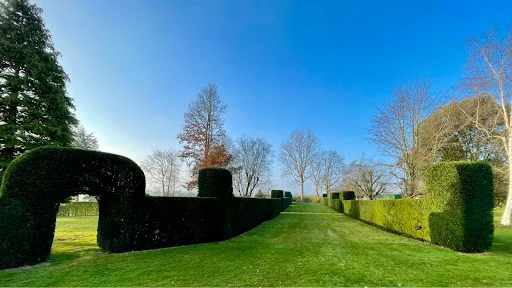 Tree Solutions Midlands Ltd