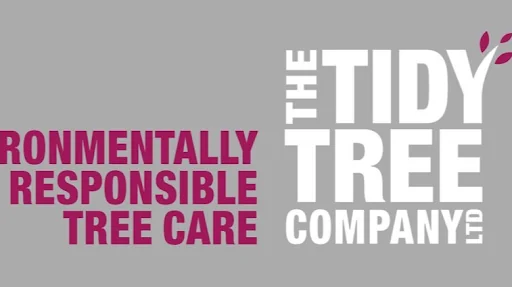 The Tidy Tree Company