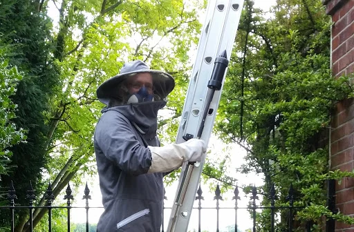 Downland Pest Control