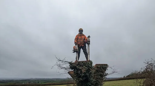 Dorset Tree & Garden Care