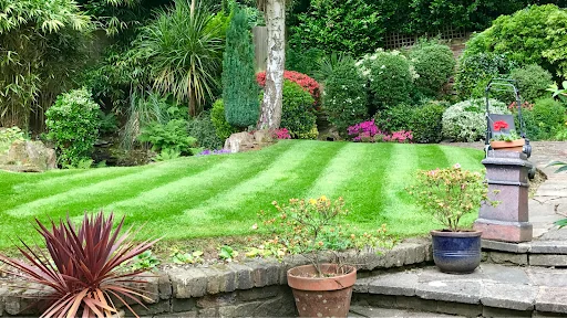 BlueLotus Garden Services Ltd