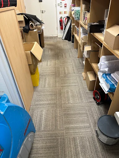 Ultraclean Professional