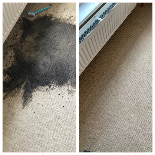 Carpet Cleaning Co