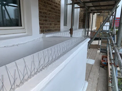 Mercury Pest Control