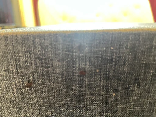 Phoenix Pest Control