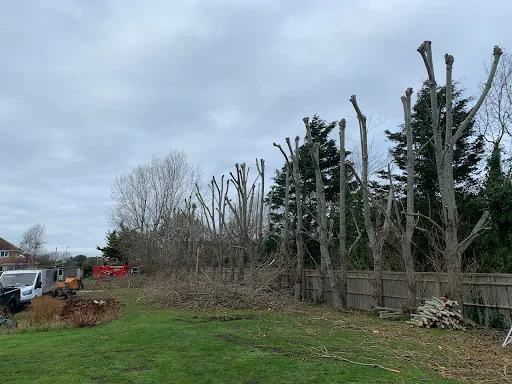 Fellwood Tree Surgeons Ltd