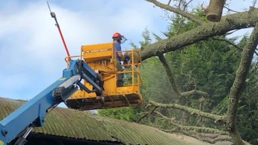 Thompson Tree Care Ltd