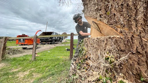 Climbing High Tree Care Ltd