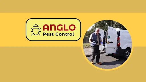 Anglo Pest Control