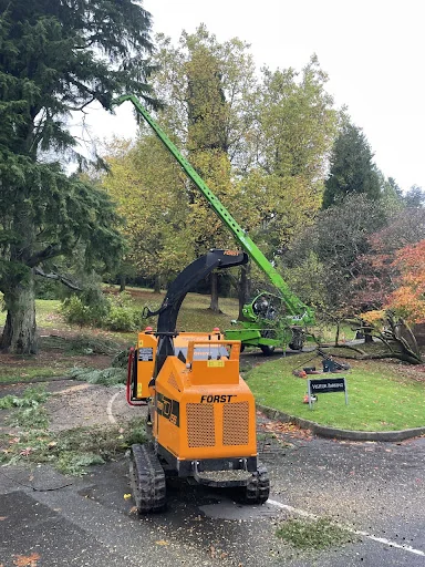 Arb Aspire Tree Care Ltd