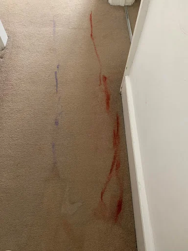 Affordable Carpet Cleaning