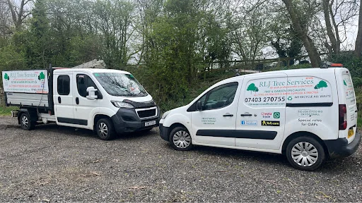 RLJ Tree Services