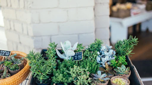 MD Garden Services Ltd