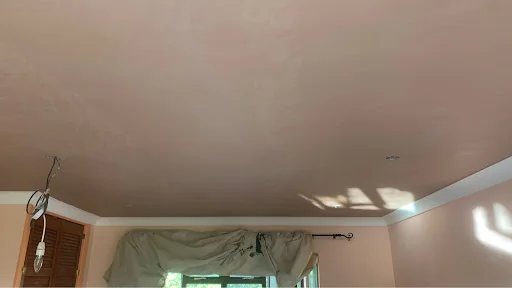 Sussex Master Plaster