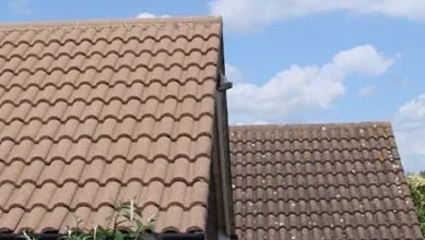 Surrey Roof and Gutter Clean