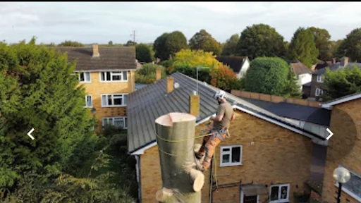 Oak & Yew Tree Surgeons Ltd