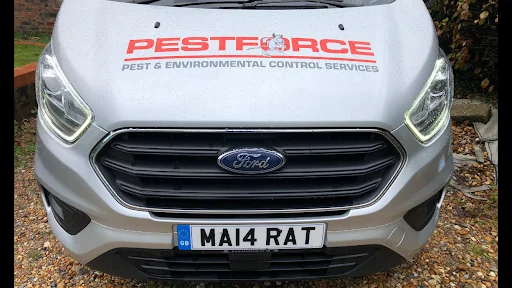 Pestforce East Sussex