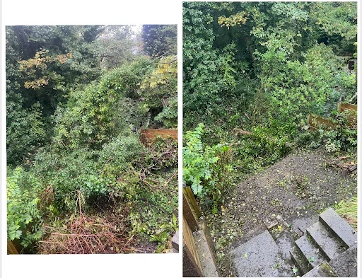 Heywood Tree Services