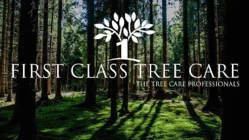 First Class Tree Care