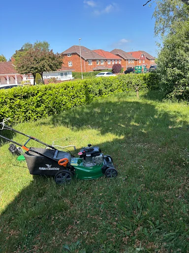 Lady Painter & Decorator