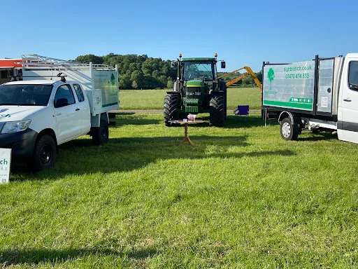 High Branch Tree Care