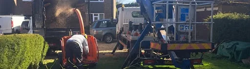 Witham Tree Services