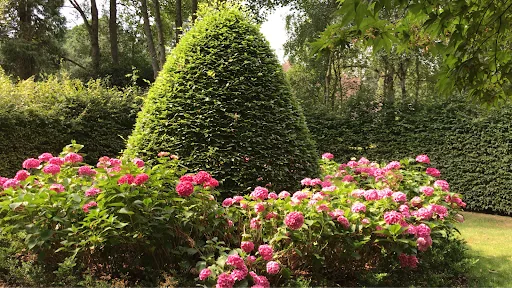 MC Garden & Pond Design