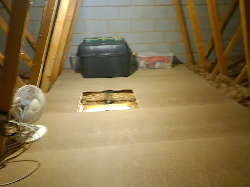 Chris Lee Property Maintenance